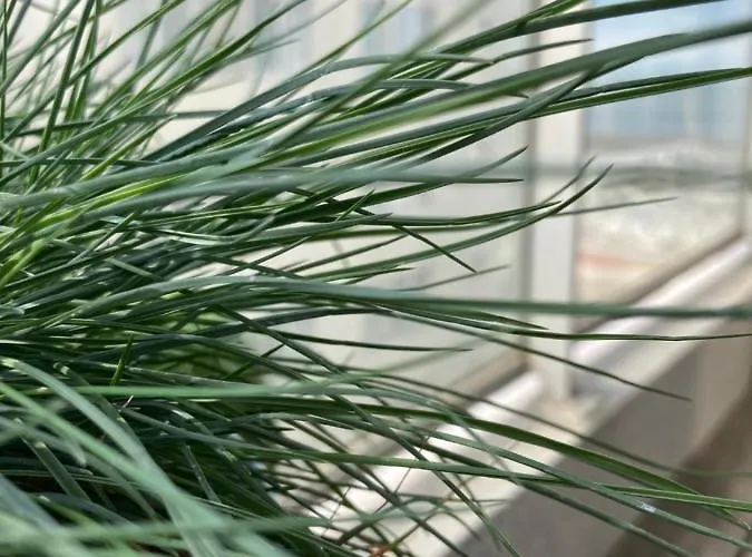 Met Zicht Op Zee Knokke-Heist